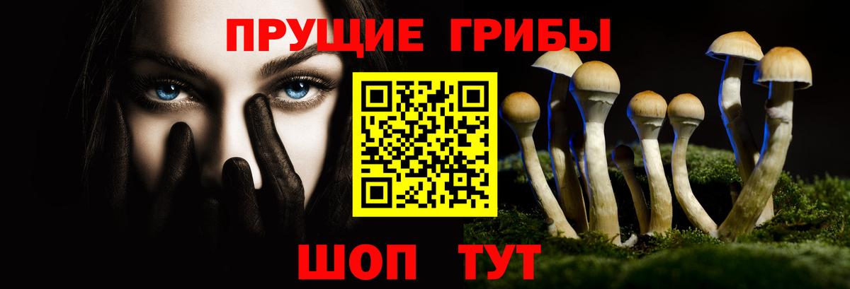 Галлюциногенные грибы прущие грибы Камень-на-Оби