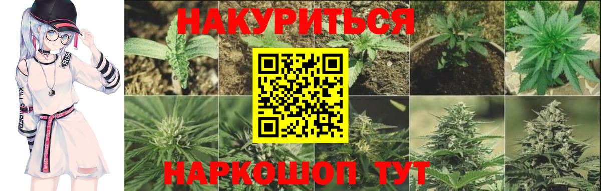 Камень-на-Оби  Марихуана SATIVA & INDICA  Вход с VPN  Бошки марихуана Ganja 